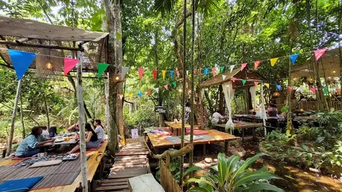 The tree house cafe in Krabi