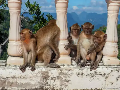 Ao Nang: Hot Springs, Emerald Pool and Tiger Cave Day Tour: tour highlights