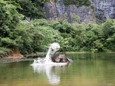 Ethical Elephant Sanctuary and Tiger Cave Temple Tour: tour scene in Krabi