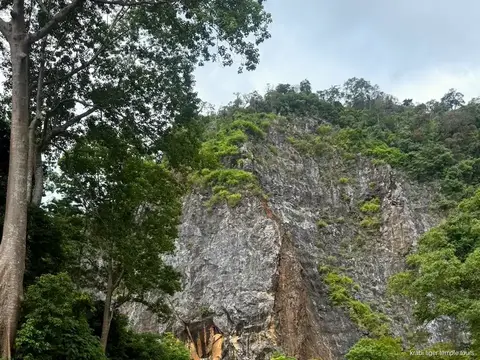 Ethical Elephant Sanctuary and Tiger Cave Temple Tour: views on the tour