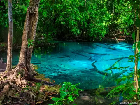 From Phuket: Emerald and Blue Pool, Hot Springs and Tiger Cave Temple: tour scene in Krabi