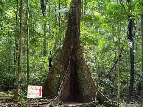 Tiger Cave Temple, Waterfall and Night Market Tour: tour scene in Krabi